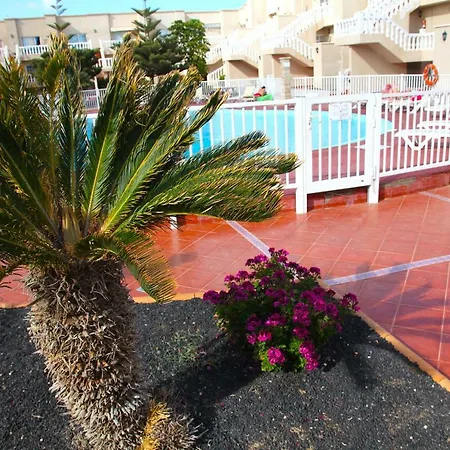 Lejlighed Apartamento Arena Costa Caleta Caleta De Fuste